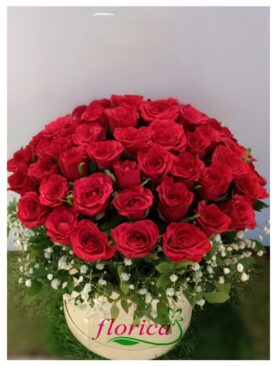 Box of red roses